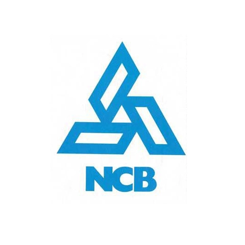 1981-formation-of-national-computer-board-480w-x-480h
