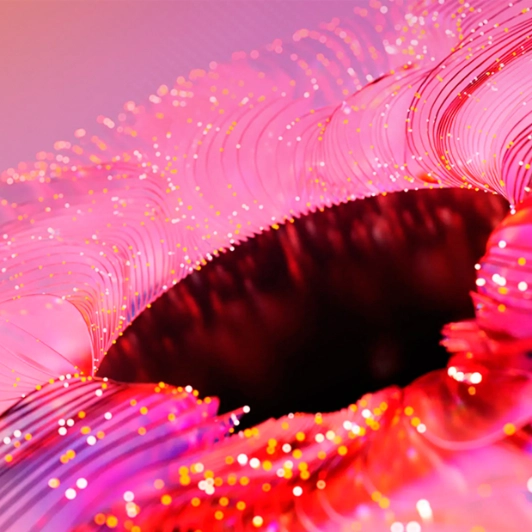 slide--4