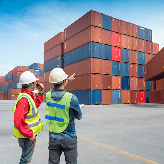 Enhancing efficiency and security in customs regulatory operations on the cloud